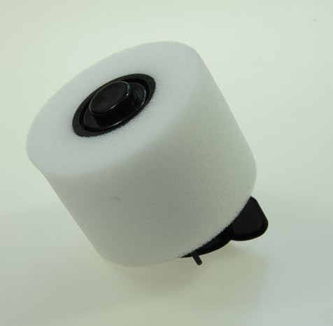 Colorfullife Replacement Filters for Shark ION Flex DuoClean X30 X40 F60 F80 IF200 IF201 IF202 IF205 IF251 IF252 IF281 IF282 IF285 UF280 IC205 IR70 IR100 IR101, Replace XPREMF100 XPSTMF100