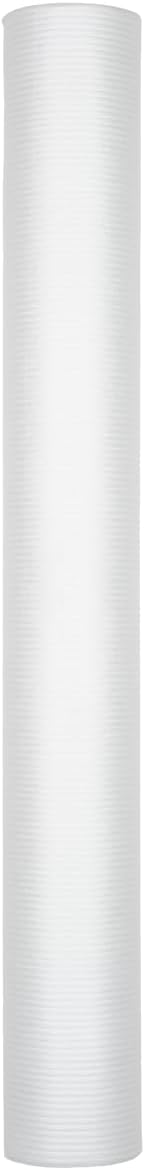Environmental Water System BB-Guard-Filter-3/4, 1 Count, 20 Nominal 5 Micron Filter, NSF Certified, Made in USA