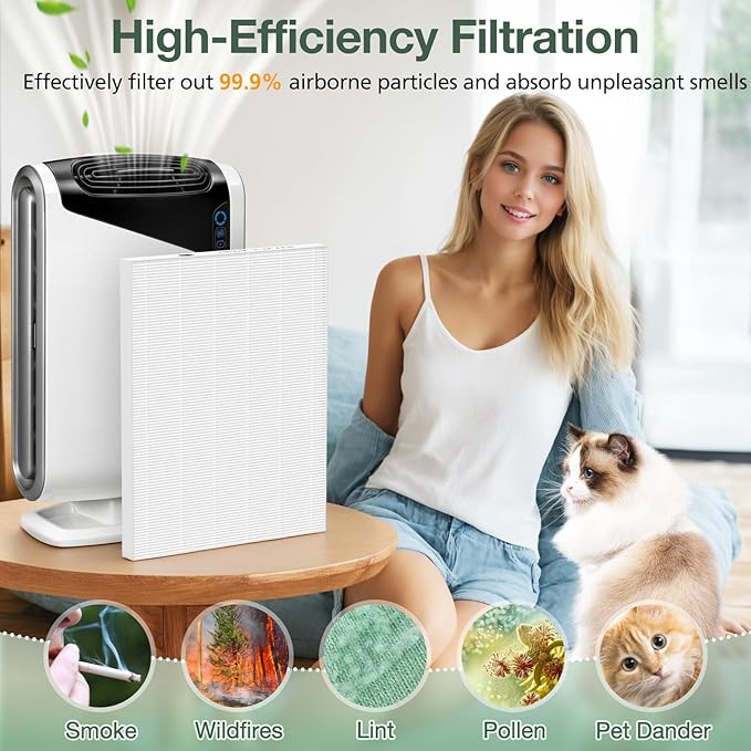AeraMax 300 Hepa Filter Set Compatible with Fellowes AeraMax 290/300/DX95 Air Purifiers, HF-300/AP-300PH, Part# 9287201, Includes 2 Hepa Filters + 6 Activated Carbon Pre-filters