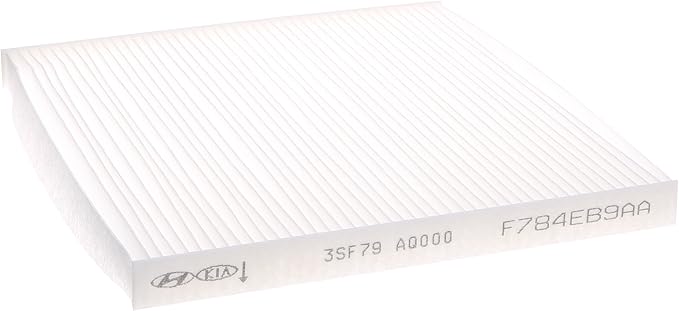 Genuine Hyundai 3SF79-AQ000 Air Filter