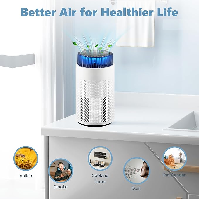 Airmega 100 Replacement Filter Compatible with Coway Airmega 100, 3 Stages Filtration System with Main Filter, Activated Carbon Filter and Fine Mesh Pre-Filter 1 Pack