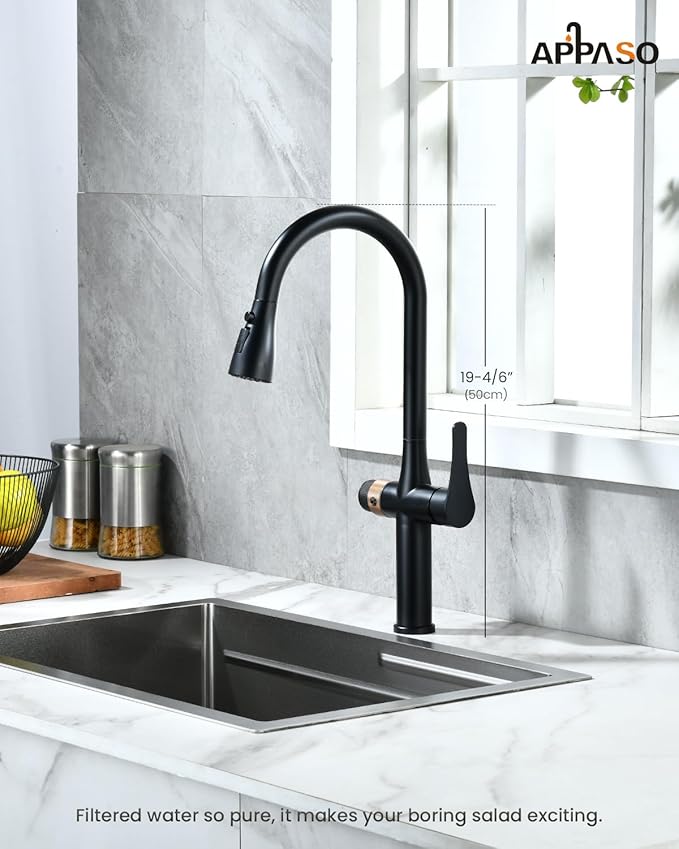 APPASO Black Kitchen Faucet with Water Filter, cUPC Certified Hoses, 3 Way Sink Faucets with Pull Down Sprayer 3 Modes, Single-Handle High Arch 3 in 1 Faucet, Without Water Filtration Device