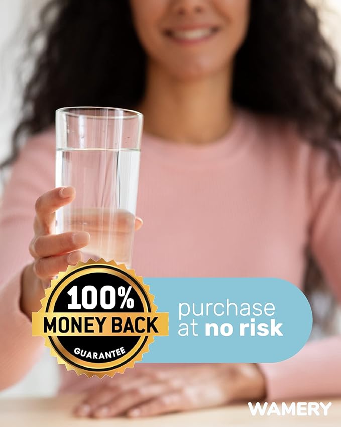 Wamery Alkaline Pitcher Water Filter Replacement - Single Filter, Improves pH & Taste, 42-Gallon Capacity, Coconut Activated Carbon with Mineral Layer, Leak-Free Fit, Easy Install, BPA-Free