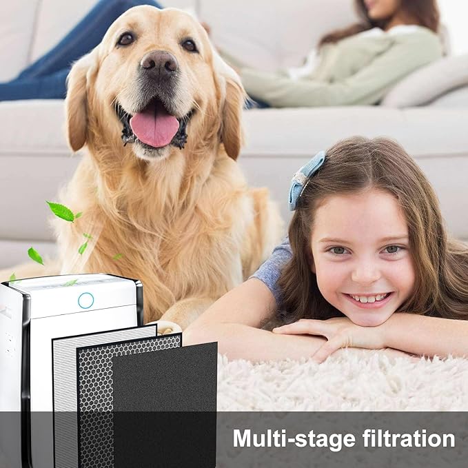 AD2k Carbon Filter For Air Purifier Compatible with AIR D CTOR 2000 Replacement Filter,2pack