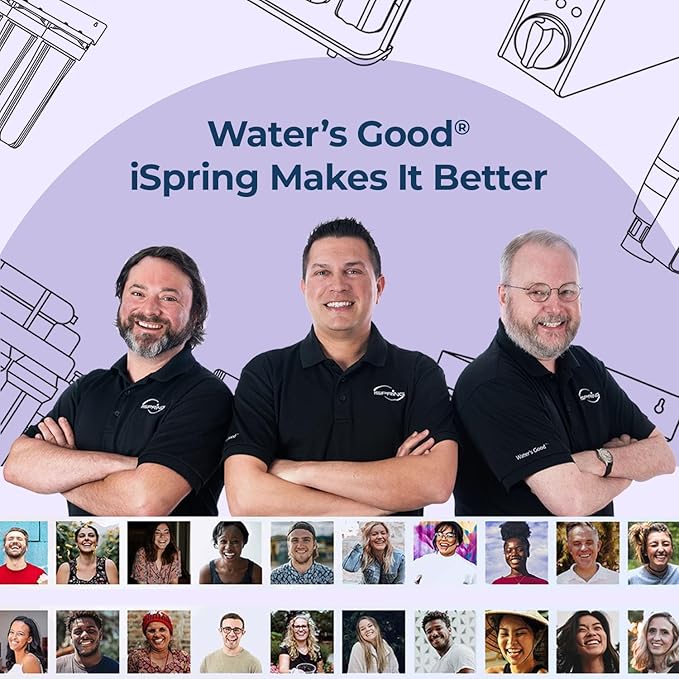 iSpring F3WGB31BDS Anti-Scale Whole House Water Filter Replacement Pack, Reduces up to 99% Chlorine, Scale, Odor, and Sediments, Up to 12 Months, 4.5” x 10”, Fits WGB31B-DS