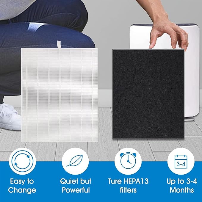 D480 Replacement Filter D4, Compatible with Winix D480 Air Purifier, Includes 2 pcs H13 Grade True HEPA and 8 pcs Activated Carbon Filters, D4 Filter Part Number 1712-0100-00
