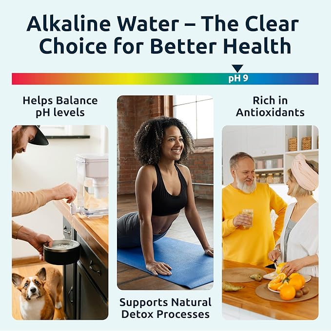 Invigorated Water Ultrafiltration Alkaline Filter - Alkaline Water Filter Replacement for Alkaline Water Filter Pitcher - pH002 Alkaline Pitcher Cartridge Alkaline Water System - Lasts 1000 L (1 Pack)