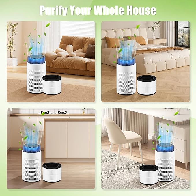 Airmega 100 Filter Replacement Compatible with Coway Airmega 100 Air Purifier, 3-in-1 True Hepa and Deodorization Filter