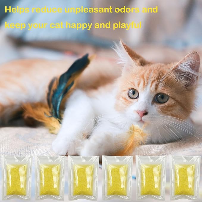 6 Pack Odor Removing Refills Compatible with Whisker OdorTrap Pod, for Litter-Robot 4 Filter Pocket or Litter-Robot 3 Waste Drawer