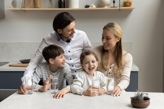 Best Water Filters for Home (Top 5 Picks 2026)