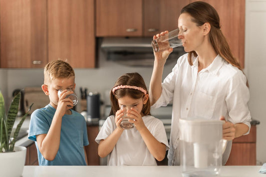 Cheap vs Premium Water Filters: What Should You Really Buy?