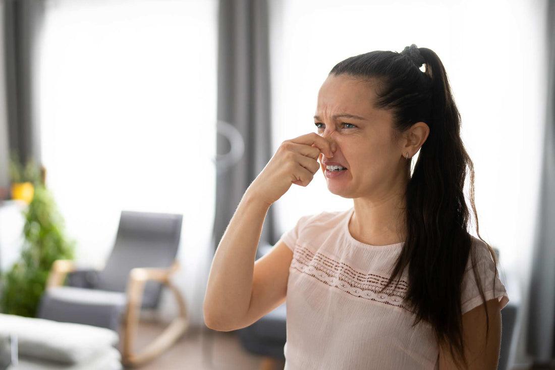 How Odor Control Filters Improve Indoor Air