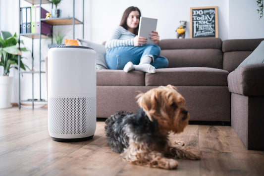 Best HEPA Air Filters for Allergies