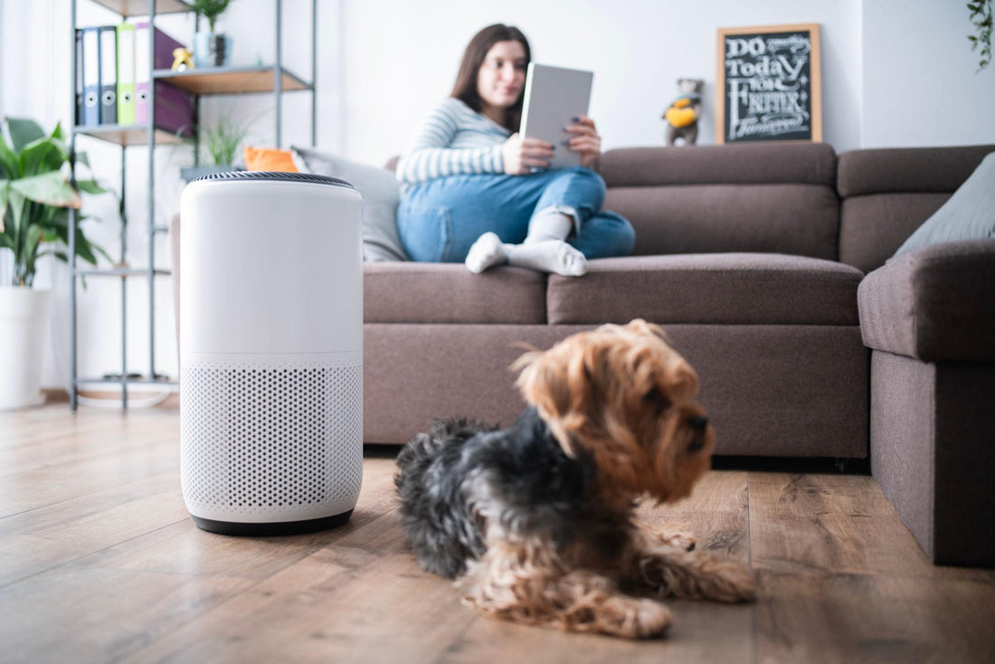 Why Your Air Purifier Isn't Working Properly