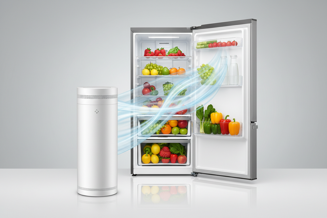 Refrigerator Air Filters: Do They Really Matter?