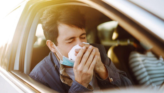 Best Cabin Air Filters for Allergy Season