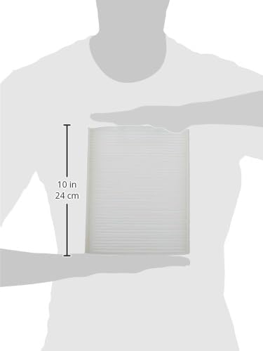 Motorcraft FP-68 Cabin Air Filter (3)