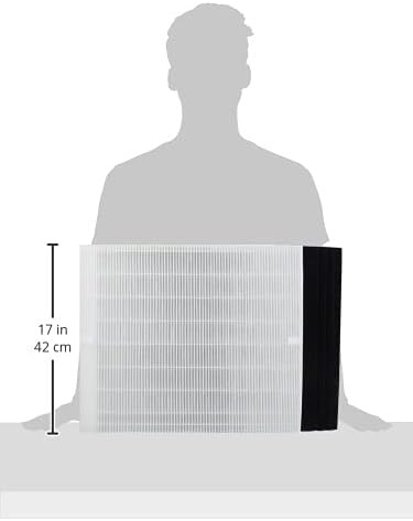 Genuine Winix 113250 Replacement Filter E for P450, White/Black