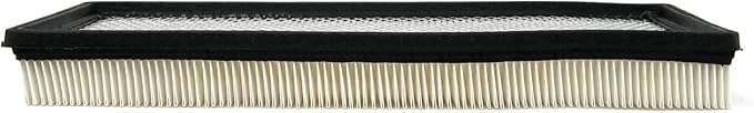 ACDelco GM Original Equipment A917C (25042562) Air Filter