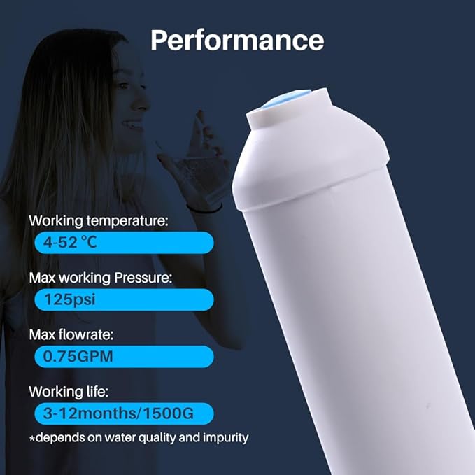CFS – 1 Pack Inline Refrigerator Water Filter Compatible with R200 Models – Remove Bad Taste and Odor – Refrigerator Water Filter System – 1/4 Inches Quick Connect Fittings – White
