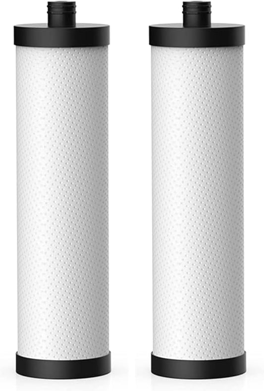 Frizzlife PLC10 Replacement Filter For FK99/FP99/SW10/SW10F Under Sink Water Filter (Pack of 2)