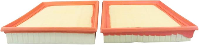 ECOGARD XA11551 Premium Engine Air Filter Fits 2017-2025 Jaguar F-Pace, 2018-2025 Land Rover Range Rover Velar, 2016-2020 Jaguar XF, 2016-2019 XE, Left and Right