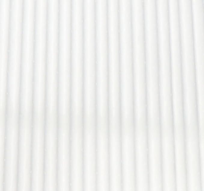 ECOGARD XC10257 Cabin Air Filter Fits 2014-2025 Ram ProMaster 2500, ProMaster 1500, ProMaster 3500, 2023-2024 Airstream Rangeline, 2024-2025 Ram ProMaster EV, 2020-2023 Coachmen Nova