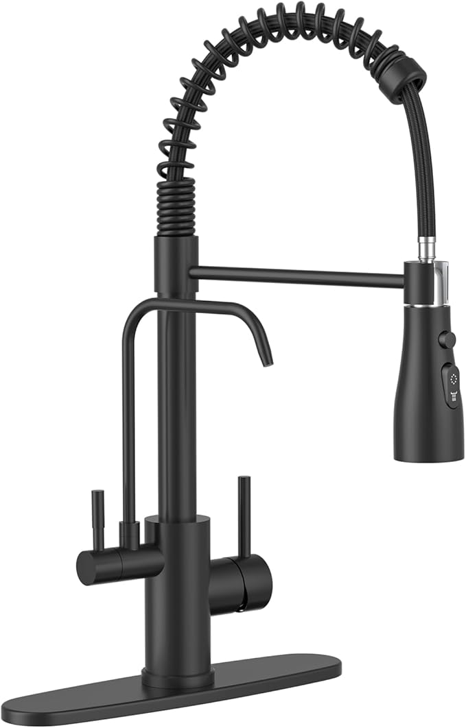 DAYONE Kitchen Faucet with Water Filter and Sprayer, 3 in 1 Pull Down Faucet with Purfied Water Faucet, 20 Inches High Arc Kitchen Water Filter Faucet, Matte Black (Without Filtration Device)