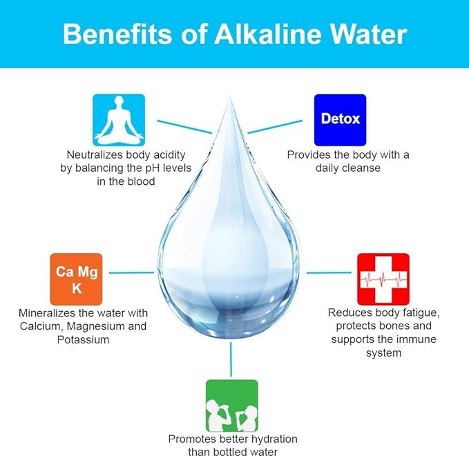 6 Stage- Inline Alkaline | KDF | Antioxidant Mineral pH Balancing Drinking Water Filter | (2" x 10" No Fittings/Clips)