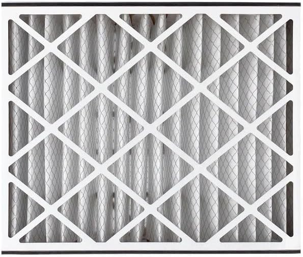 Trion Air Bear 259112-102 (2-Pack) – 20” x 25” x 5” Pleated Air Filter, MERV 11