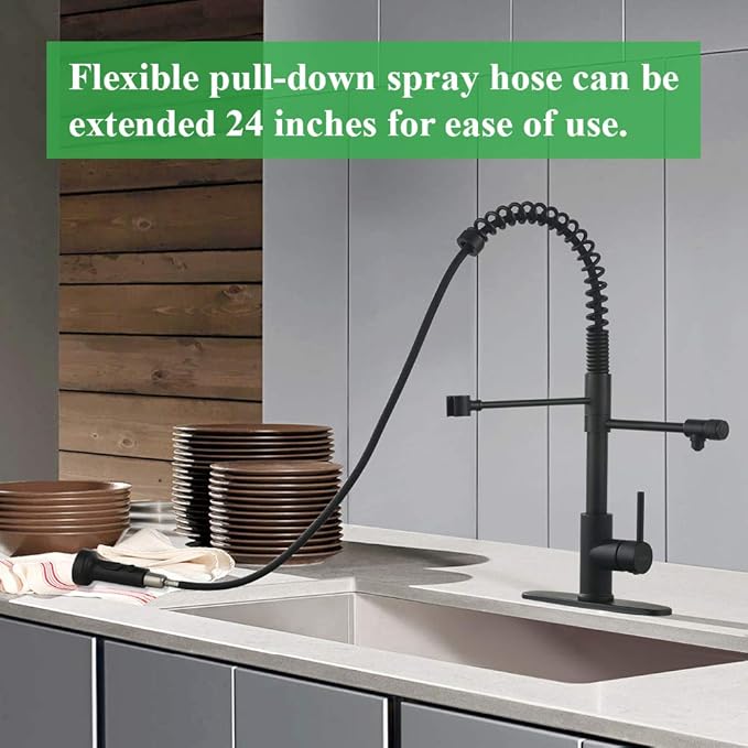 Drinking Water Faucet, Pull-Down Kitchen Sink Water Filtration Faucet, Bar Water Filter Faucet, Matte Black, Stainless Steel, PAKING PB1030