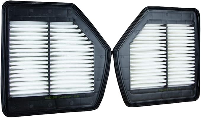 ECOGARD XA10629 Premium Engine Air Filter Fits 2018-2020 Genesis G80, 2017-2022 G90, 2015-2016 Hyundai Genesis, 2019-2020 Kia K900, Left and Right