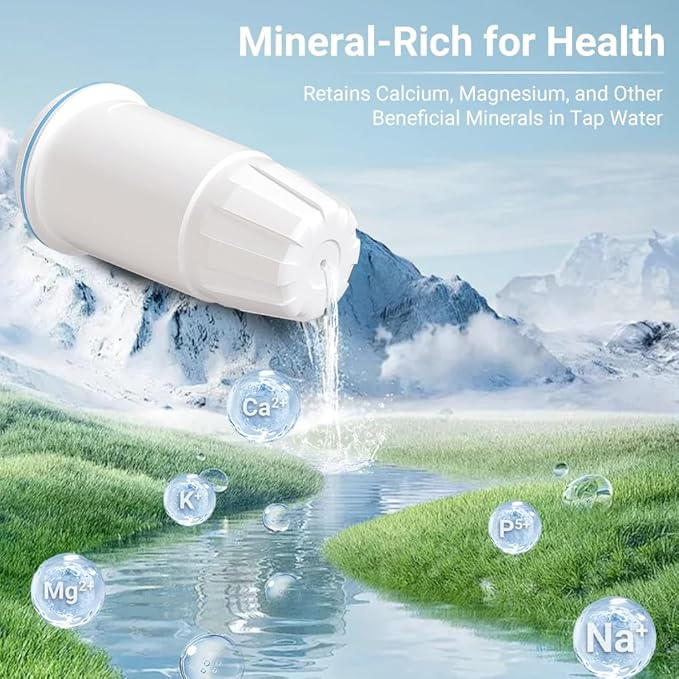 Water Filter Replacement Compatible with Zero Pitcher and Dispenser ZR-001 ZR-017 ZR-004 ZP-006 ZD-013 ZS-008, Multi-Stage Filter System, Reduce Lead, Chromium, and PFOA/PFOS, Pack of 6, By DESENRUIS
