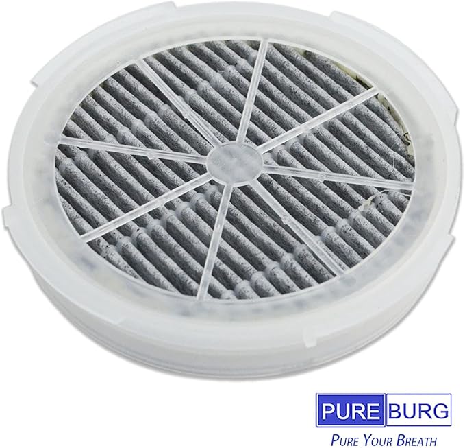 PUREBURG GL-2103 Replacement Filter Compatible with RIGOGLIOSO JINPUS MELEDEN Houzetek WSTA DHS COSTWAY & SY900S Air Purifiers,2-Pack HEPA Activated Carbon 2-in-1