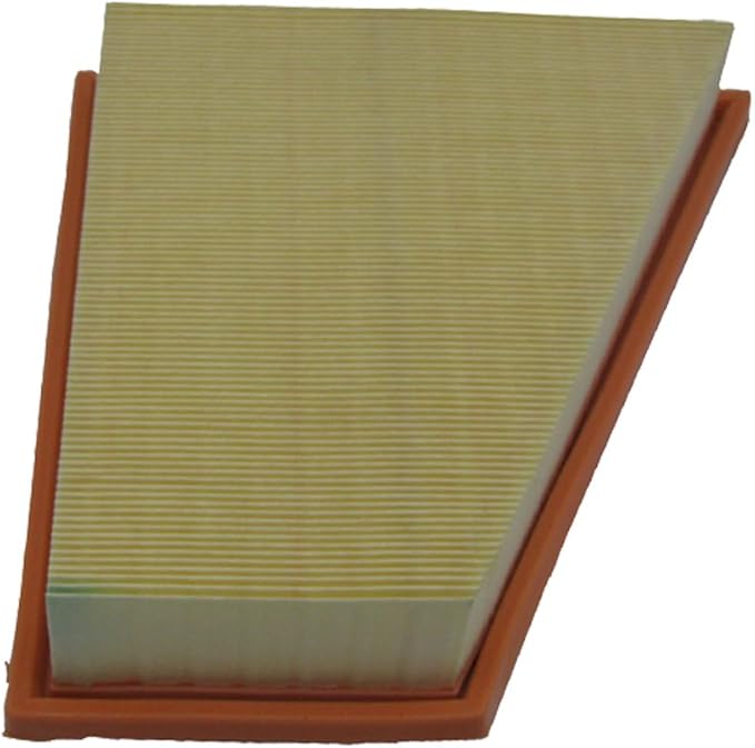 ECOGARD XA6143 Premium Engine Air Filter Fits 2012-2015 BMW X1, 2012-2016 528i, 528i xDrive, Z4, 2014-2016 520i