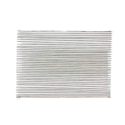 AprilAire 501 Replacement Filter for AprilAire 5000 Whole-House Air Purifier - MERV 15 Equivalent, 16x25x6 Air Filter (Pack of 10)