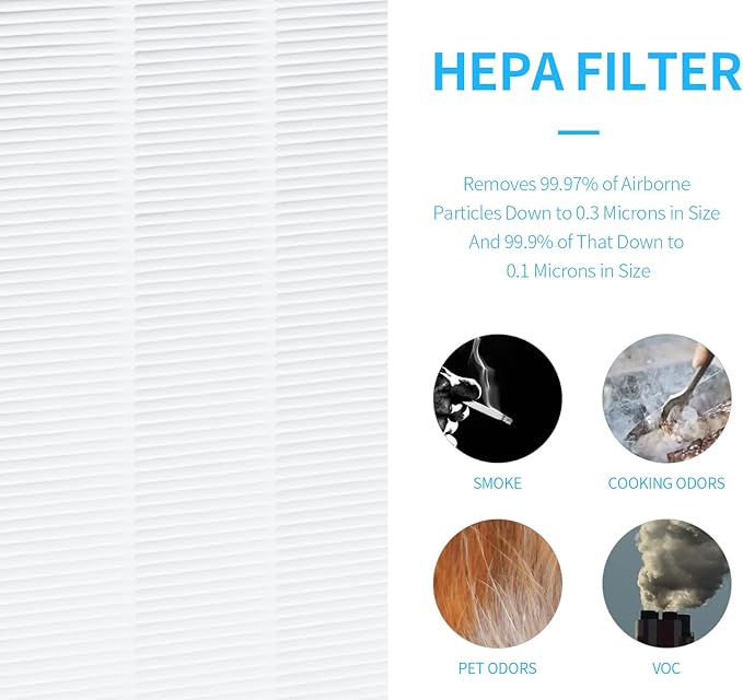GH-Demon Replacement Filter for Gocheer Demon Purifier, 2-in-1 Air Filtration of H13 True HEPA and Activated Carbon Filter, 2 Packs