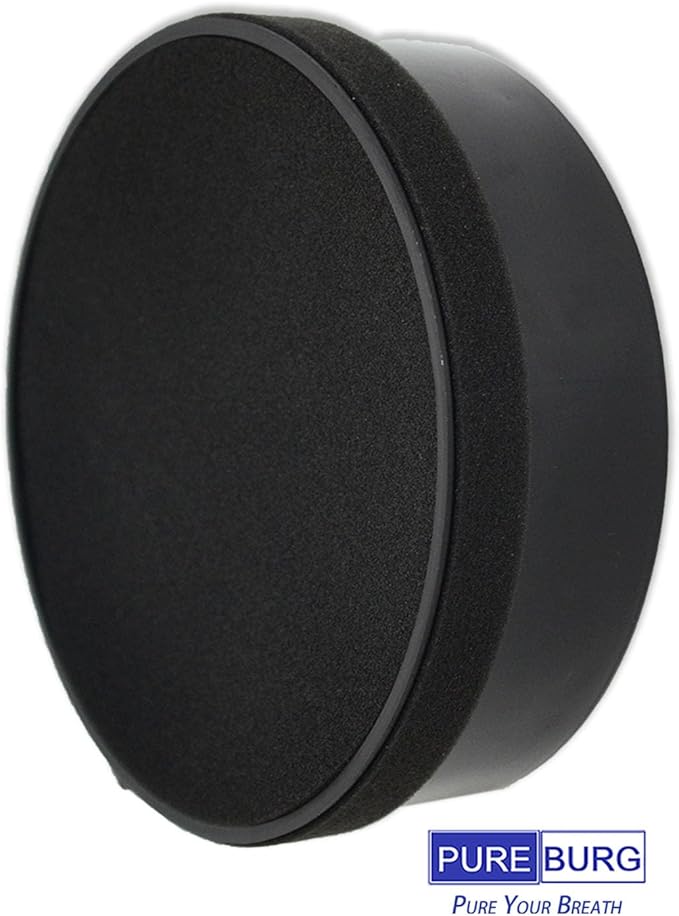 PUREBURG LV-H132-RF Replacement Filter Compatible with Levoit LV-H132 Air Purifier,2-Pack H13 HEPA + 4 x Activated Carbon Filter 4-Stage Filtration Air Clean Dust VOCs