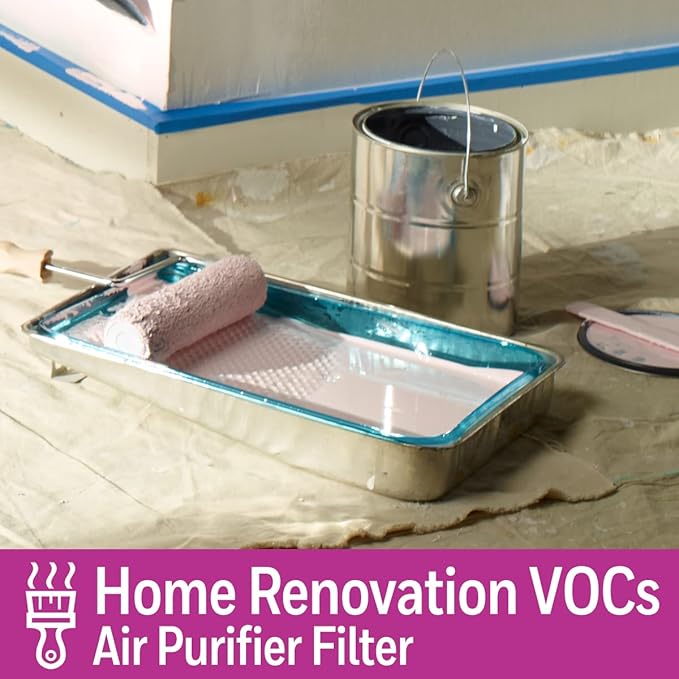 Honeywell Enhanced VOC Filter- Home Renovation
