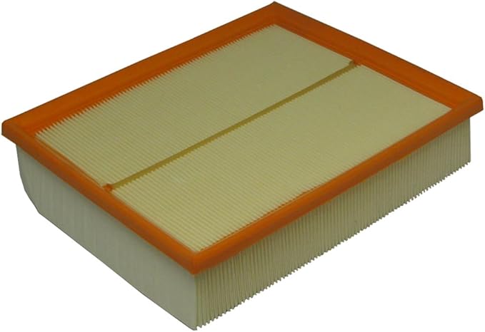 ECOGARD XA7039 Premium Engine Air Filter Fits 2000-2006 BMW X5, 2004-2005 Volkswagen Passat, 2001-2005 Audi Allroad Quattro, 2000-2003 BMW M5, 2000-2002 Audi S4, 2000-2004 A6 Quattro (Pack of 6)