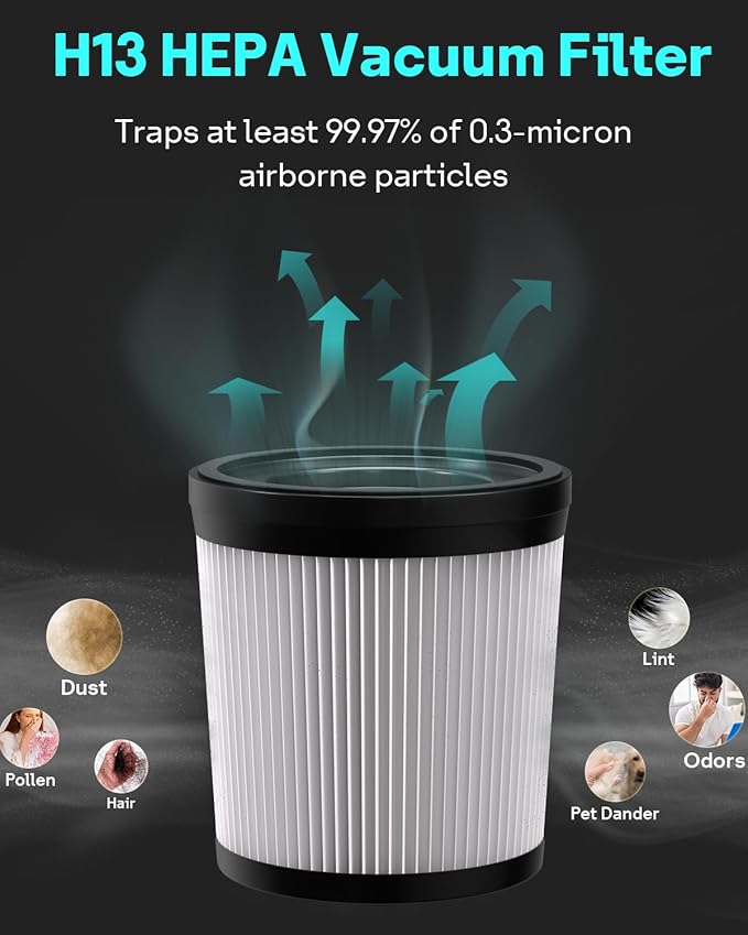 Leemone Filter Replacement Compatiable with Fabuletta FSV101 & FSV001, Lubluelu 202, Girnoor G160 & G165, Afoddon A300, Oraimo OSV-102, Besswin W26, VacLife VL732 Cordless Vacuum Cleaners, 4 Pack