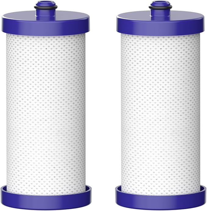 Waterdrop WF1CB Replacement for Frigidaire® PureSource WFCB®, RG100, NGRG2000, WF284, 9910, 469906, 469910 Refrigerator Water Filter, 2 Filters