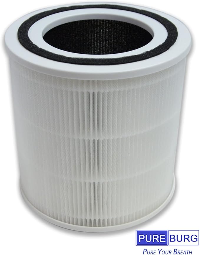 PUREBURG Replacement Filter Compatible with TT-AP005 HEPA Air Purifier,2-Pack H13 HEPA Activated carbon 2-IN-1 4-Stage Filtration Air Clean VoCs