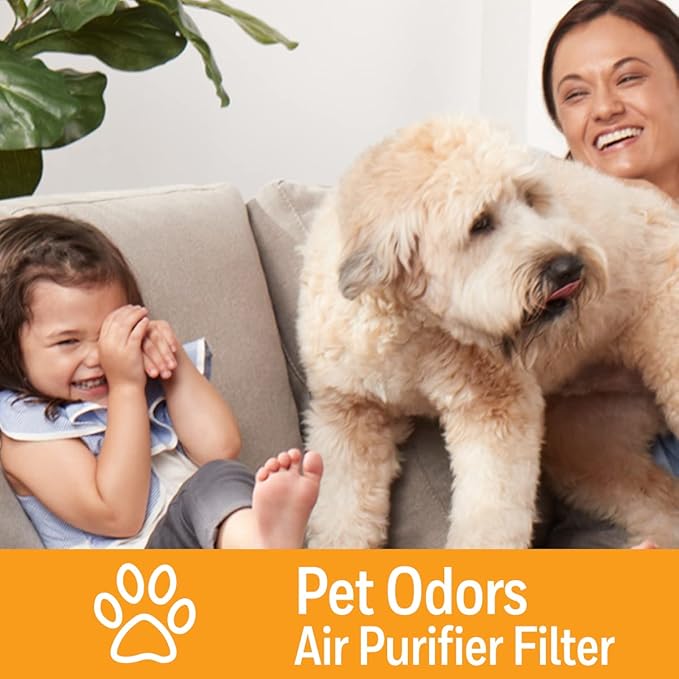 Honeywell Air Purifier Filter for Pet Odor – Filter S for HPA3000 PowerPlus and HPA5000 Insight Series, HRFSP1