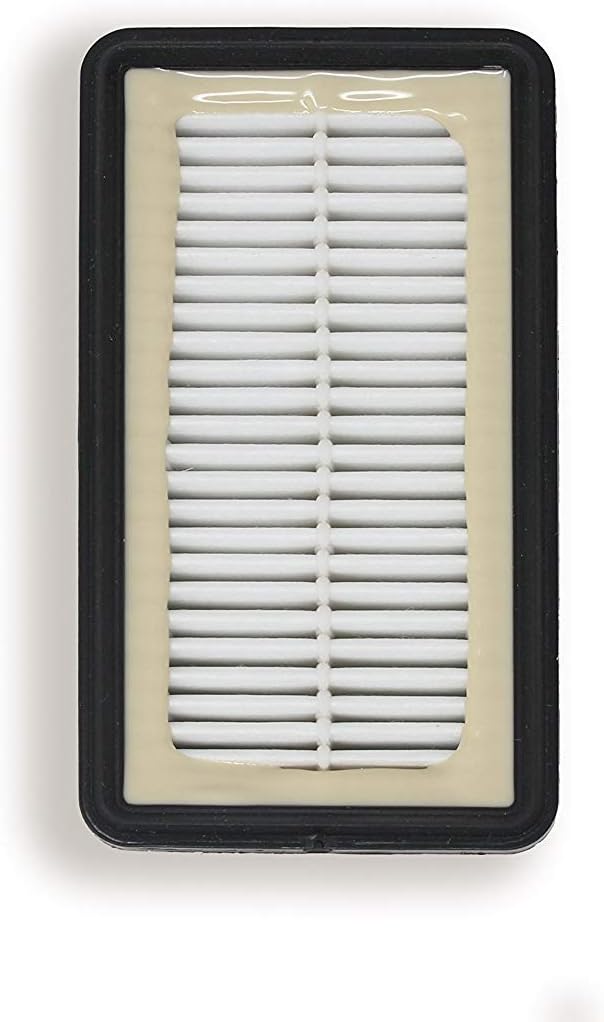 Lemige 2 + 2 Pack 1008 Vacuum Filters for Bissell CleanView 1819, 1822, 1825, 1831, 1330, 1332，9595A Vacuums Replacement Filters Kit, Compare to Part # 2032663 & 1601502