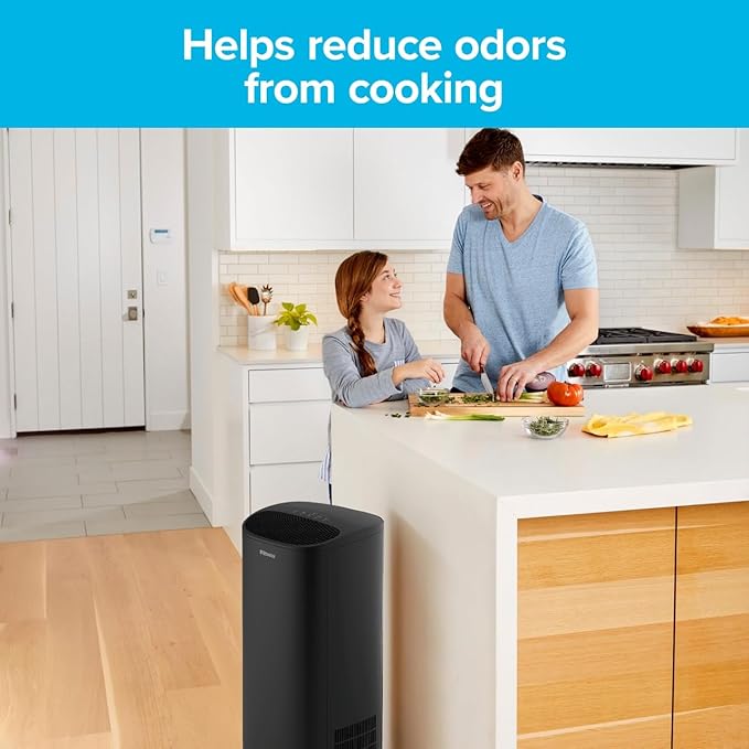 Filtrete F2 Room Air Purifier Filter, True HEPA Premium Allergen, Bacteria, and Virus, 13 in. x 8.2 in., 2-Pack, works with devices: FAP-C02, FAP-C03, FAP-SC02, and FAP-T03