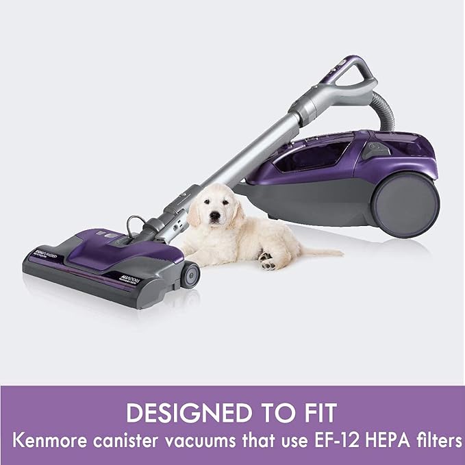 Kenmore 62731 HEPA Media Vacuum Cleaner Exhaust Air Filter for Canister Vacuum 81615, BC4039