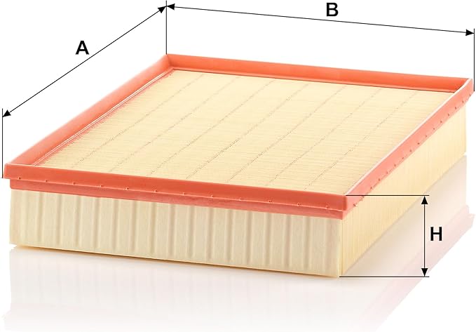 Mann Filter C 4312/1 Air Filter