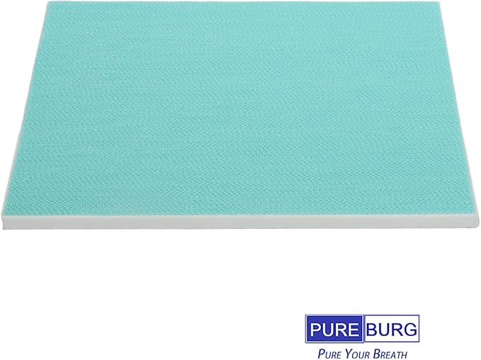 PUREBURG FRPARAC1 Replacement Filter Compatible With Frigidaire PureAir RAC-1 Fits FGAC5044W1 Dehumidifier, 2-Pack