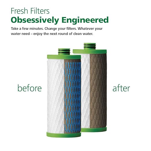 AO Smith Claryum Filter Replacement - 2 Pack - AO-US-200-R